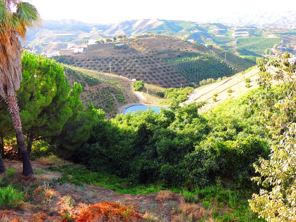 Foto de Iznate (Málaga), España