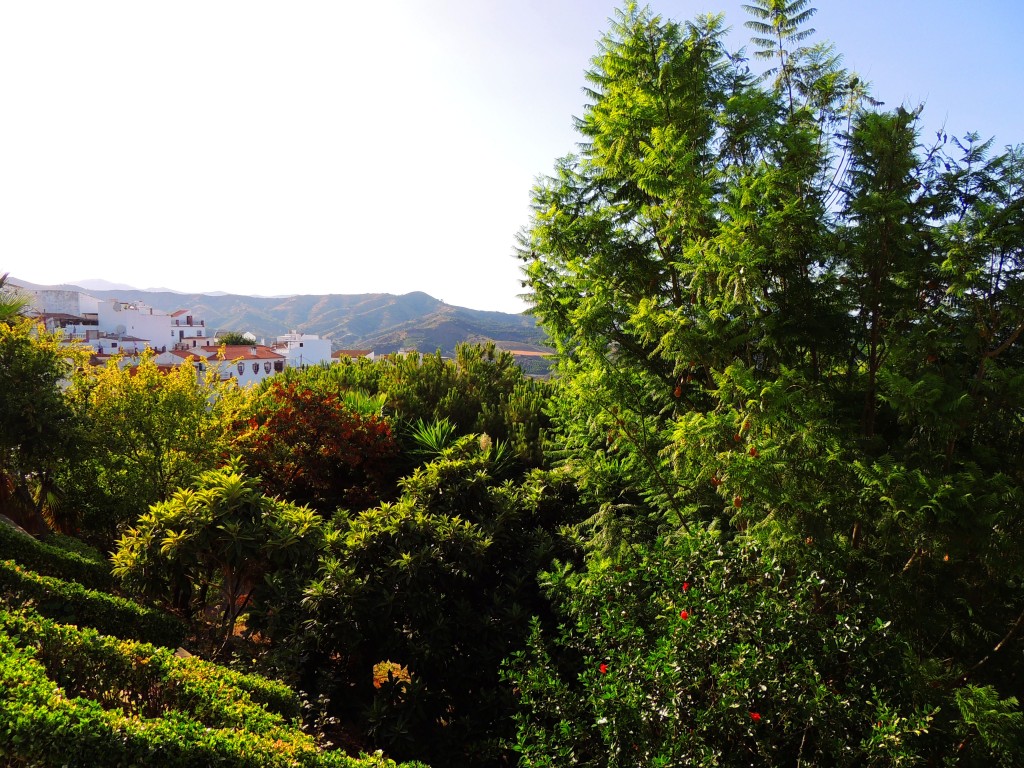 Foto de Iznate (Málaga), España