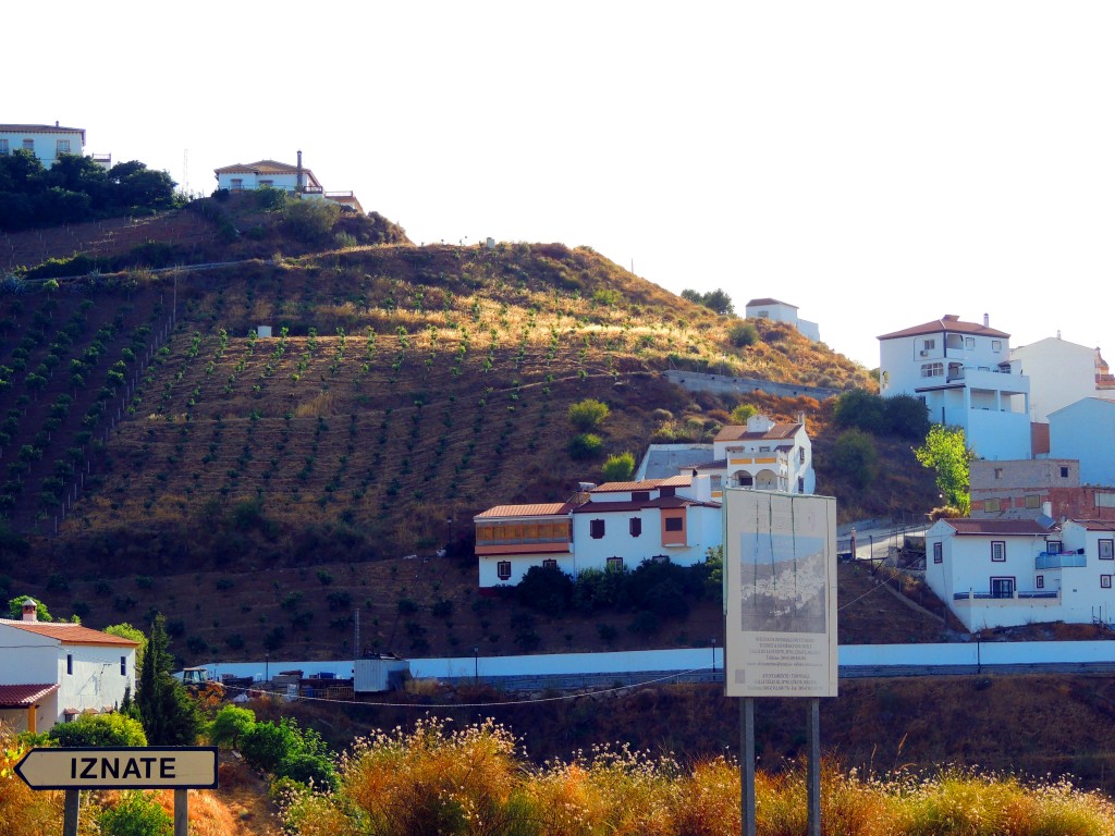Foto de Iznate (Málaga), España
