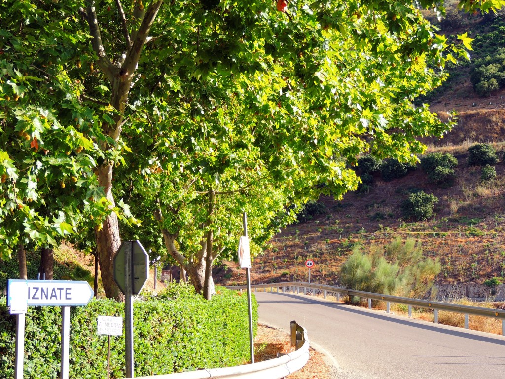 Foto de Iznate (Málaga), España
