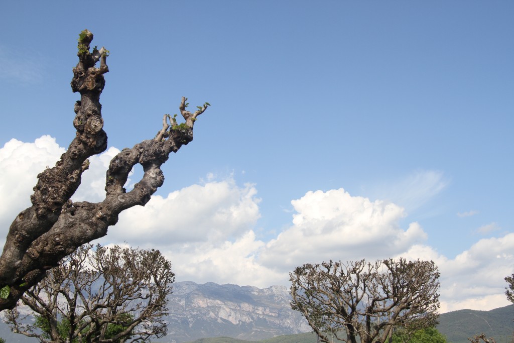 Foto de Ainsa (Huesca), España