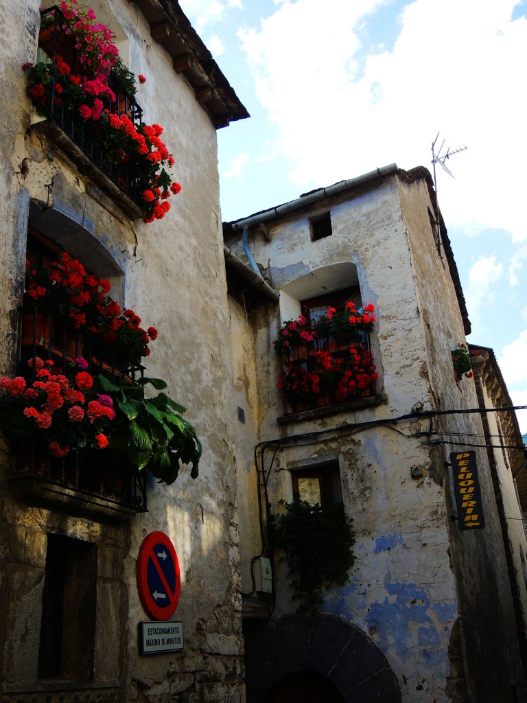 Foto de Torla (Huesca), España
