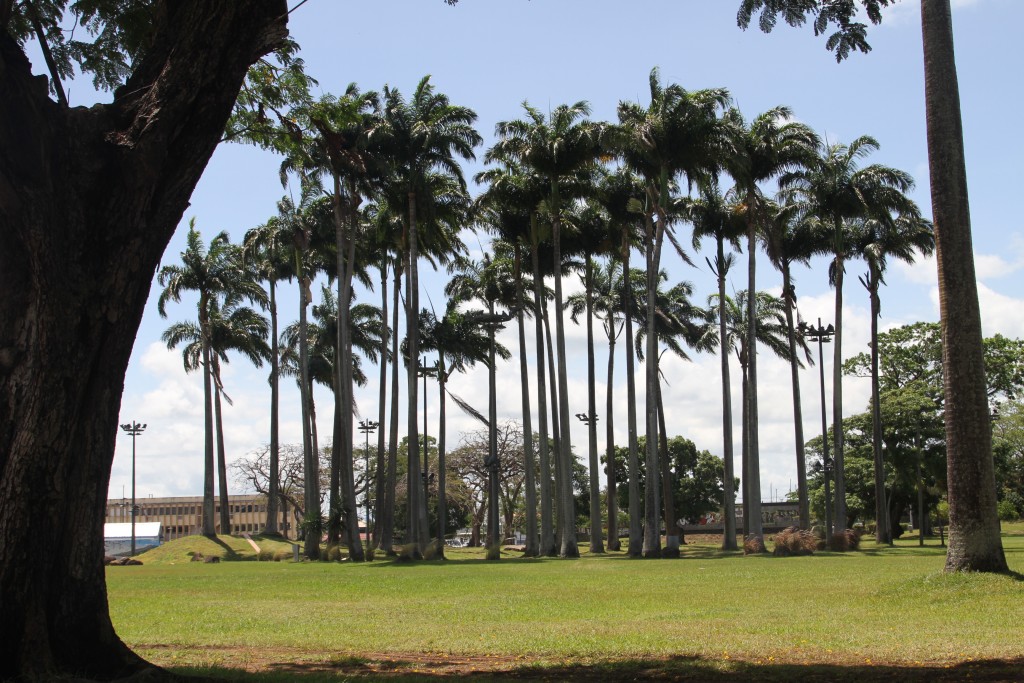 Foto de Fort de France, Martinica