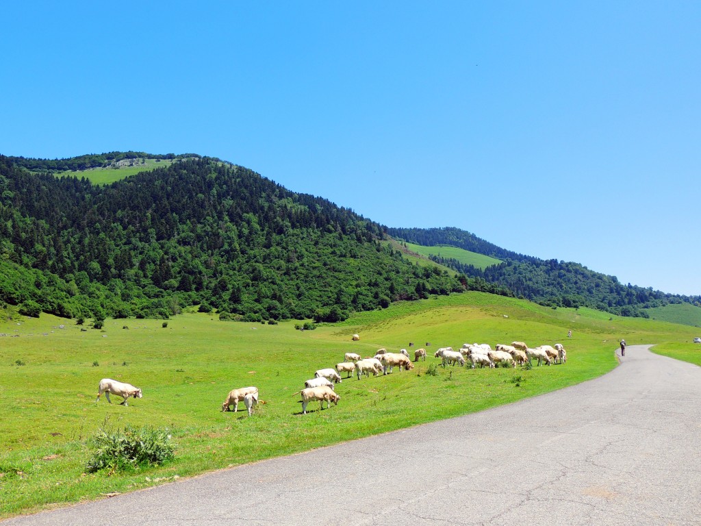 Foto de Rioseta (Huesca), España