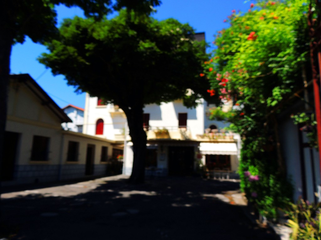 Foto de Lourdes, Francia