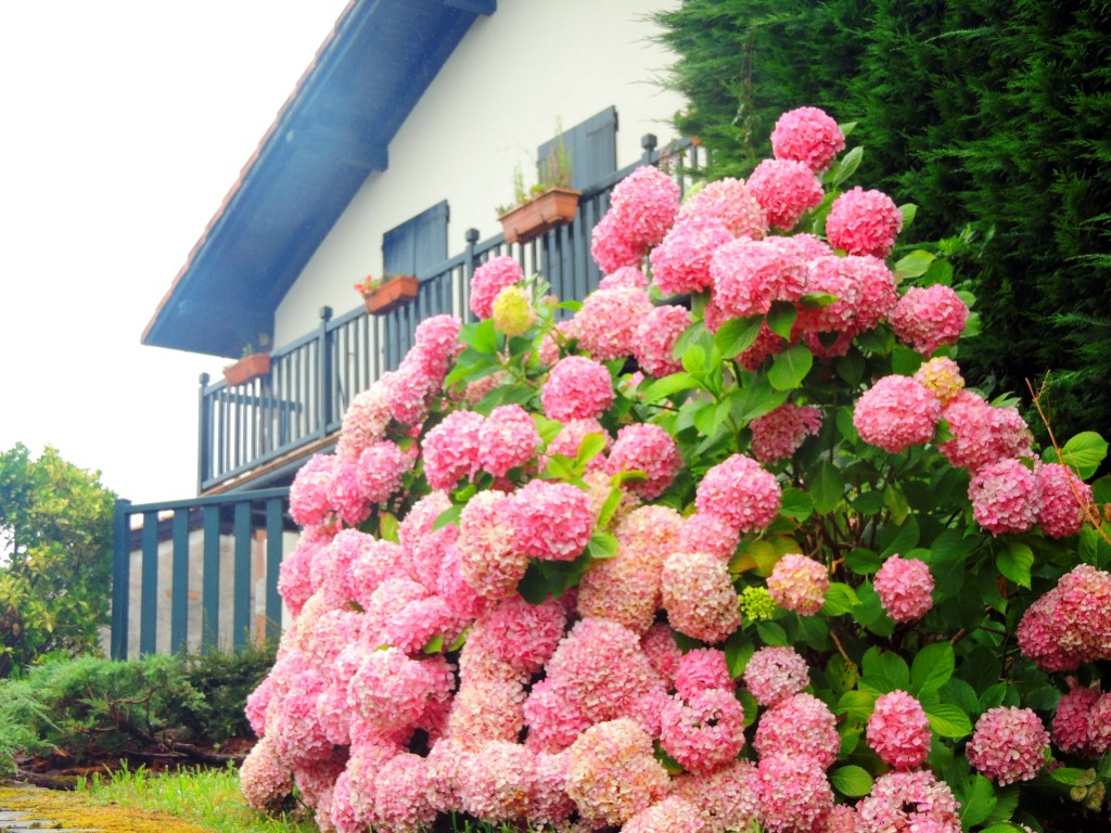 Foto de Zugarramurdi (Navarra), España