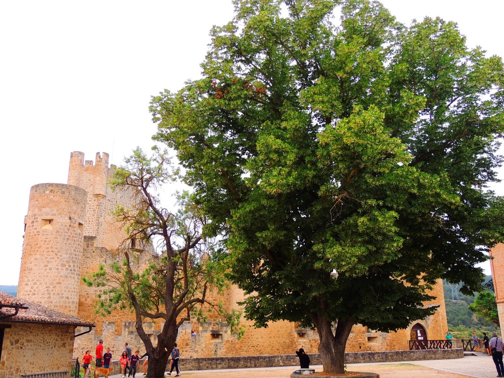 Foto de Frías (Burgos), España