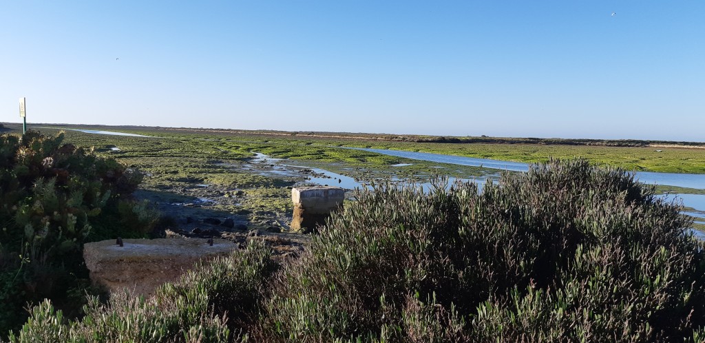 Foto de Cádiz (Andalucía), España