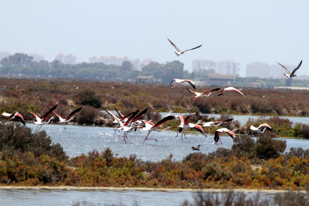 Foto de Cádiz (Andalucía), España