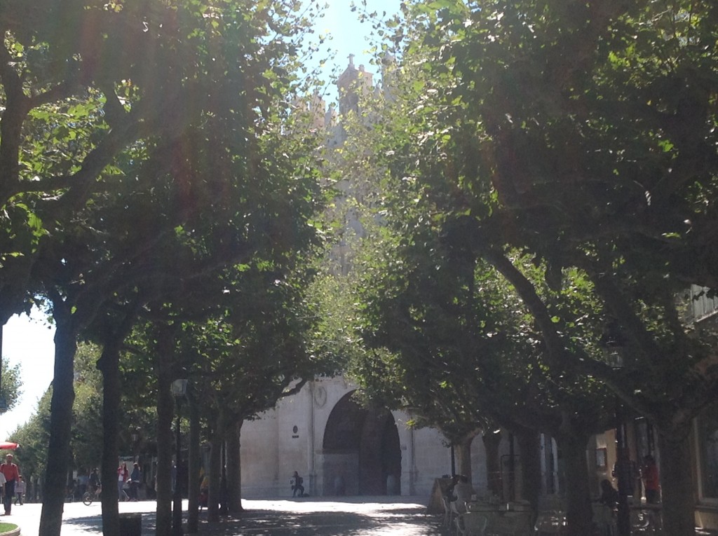 Foto de Burgos (Castilla y León), España