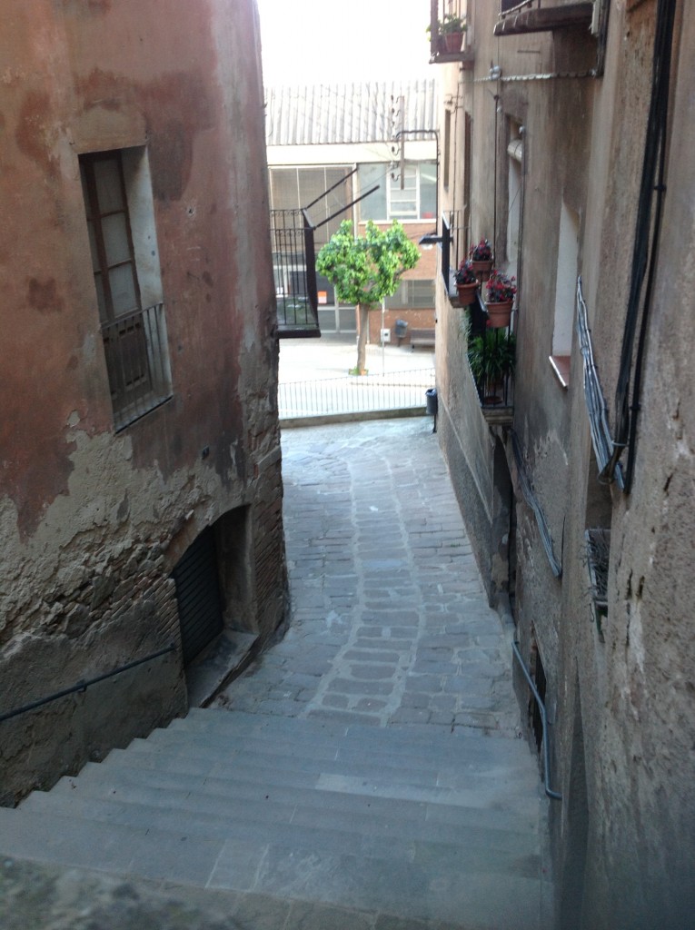Foto de Cardona (Lleida), España