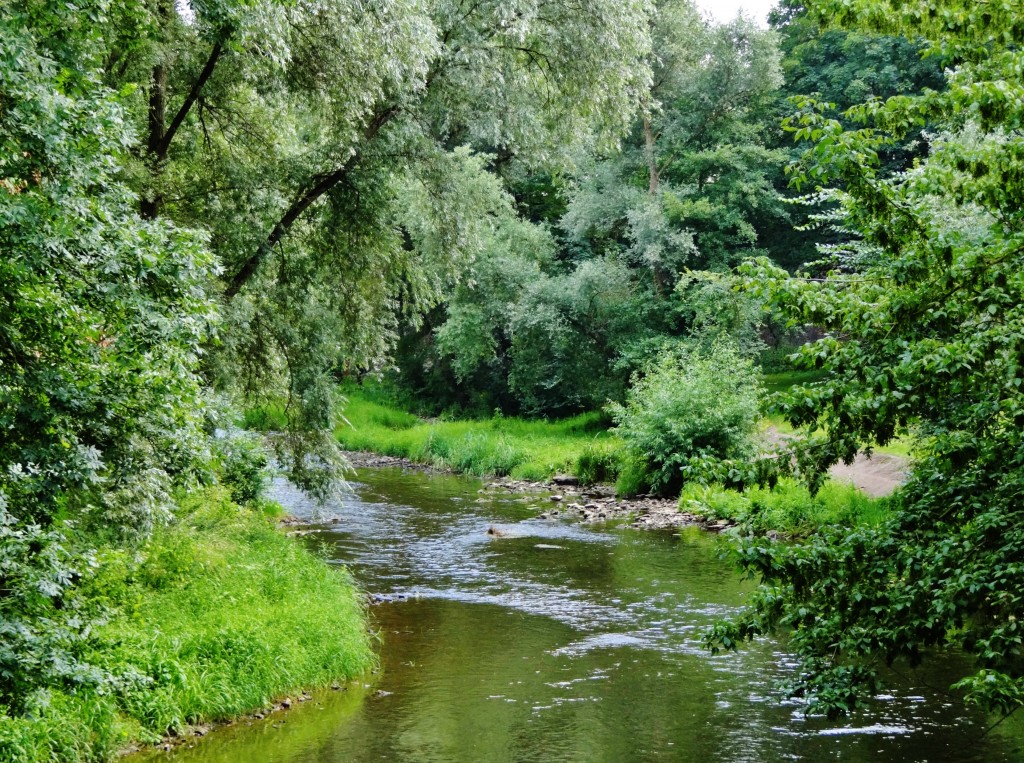Foto: La Seille - Metz (Lorraine), Francia