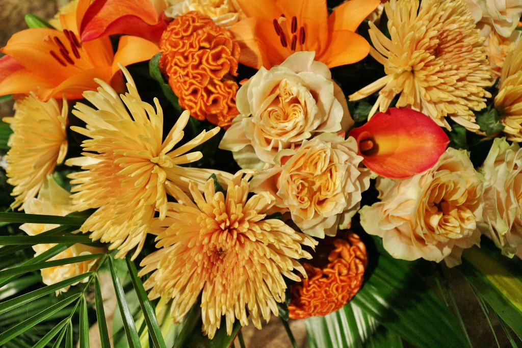 Foto: Tiempo de flores 2019 - Girona (Cataluña), España