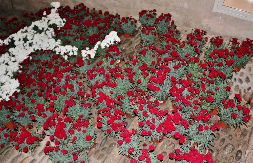 Foto: Tiempo de flores 2019 - Girona (Cataluña), España