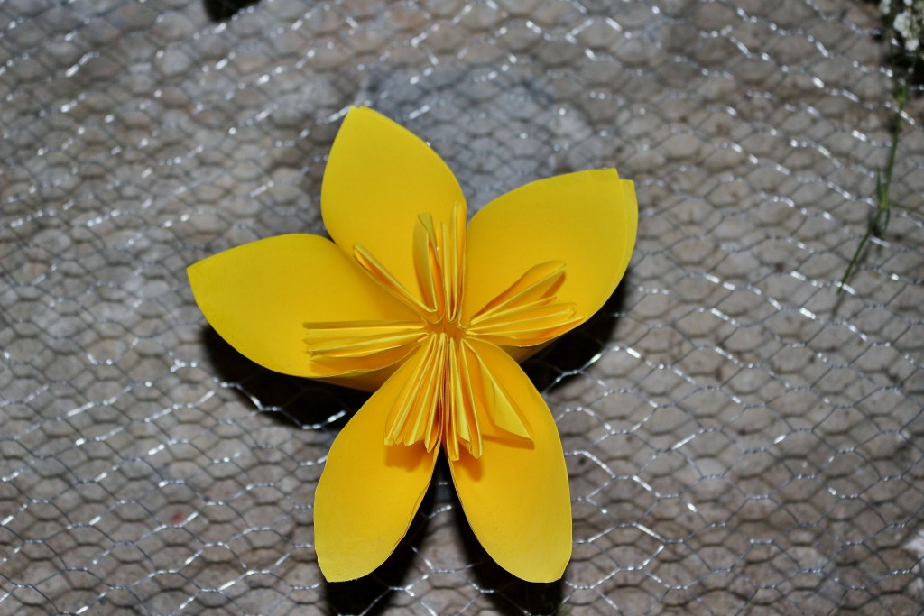 Foto: Tiempo de flores 2019 - Girona (Cataluña), España