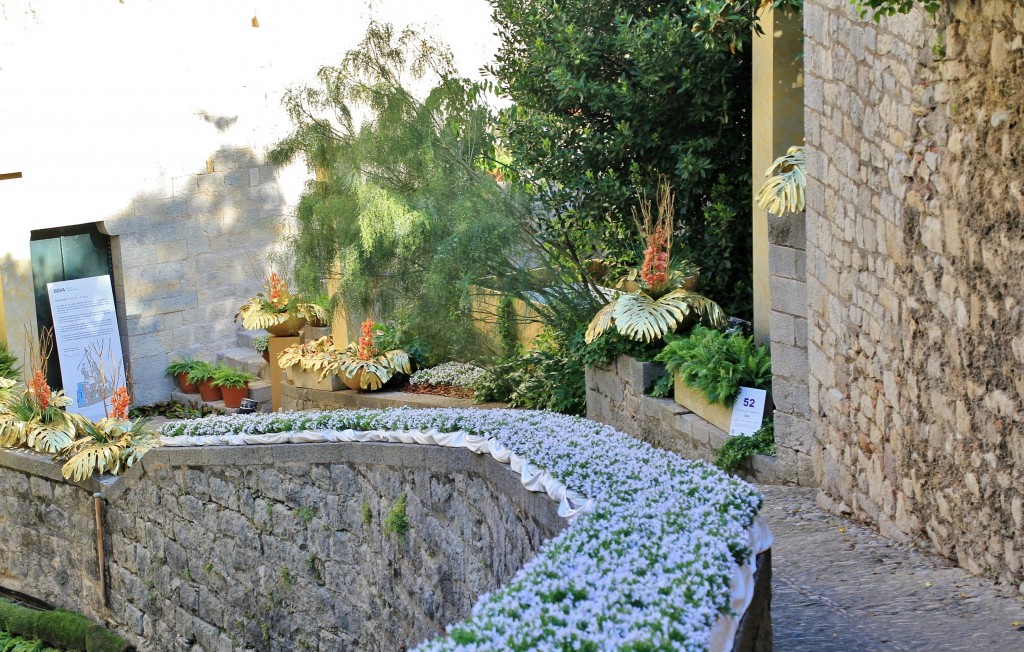 Foto: Tiempo de flores 2019 - Girona (Cataluña), España