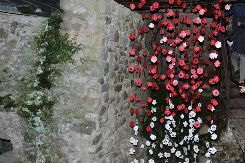 Foto: Tiempo de flores 2019 - Girona (Cataluña), España