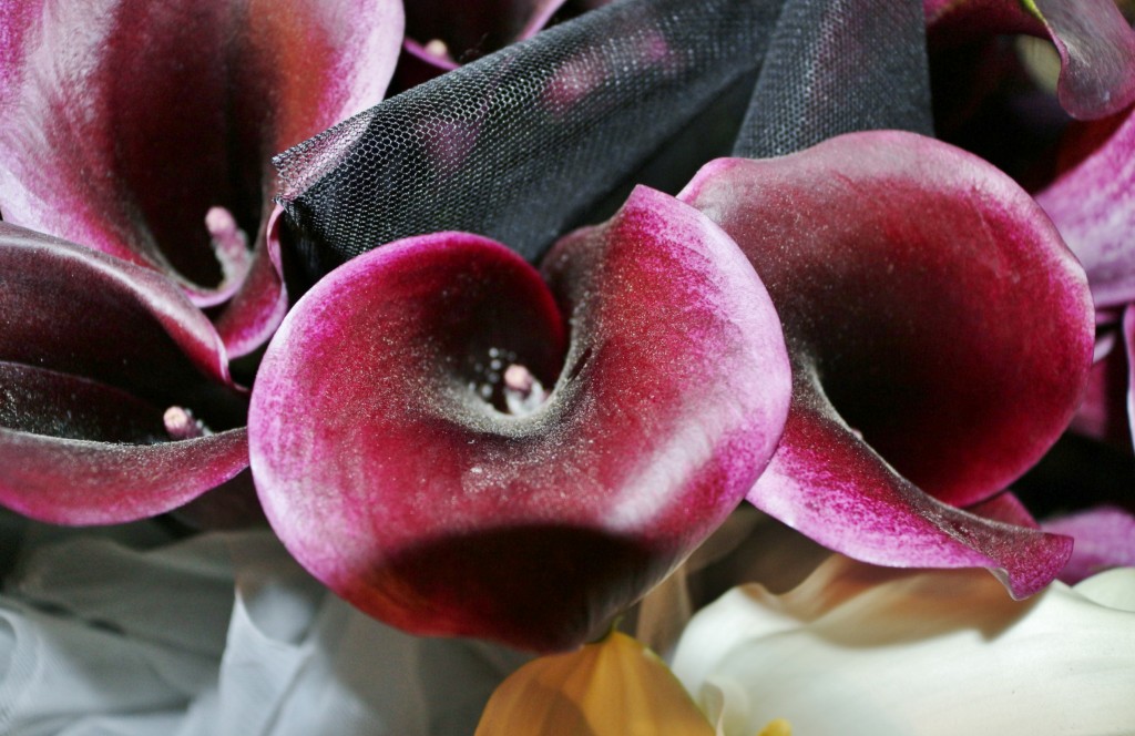 Foto: Tiempo de flores 2019 - Girona (Cataluña), España