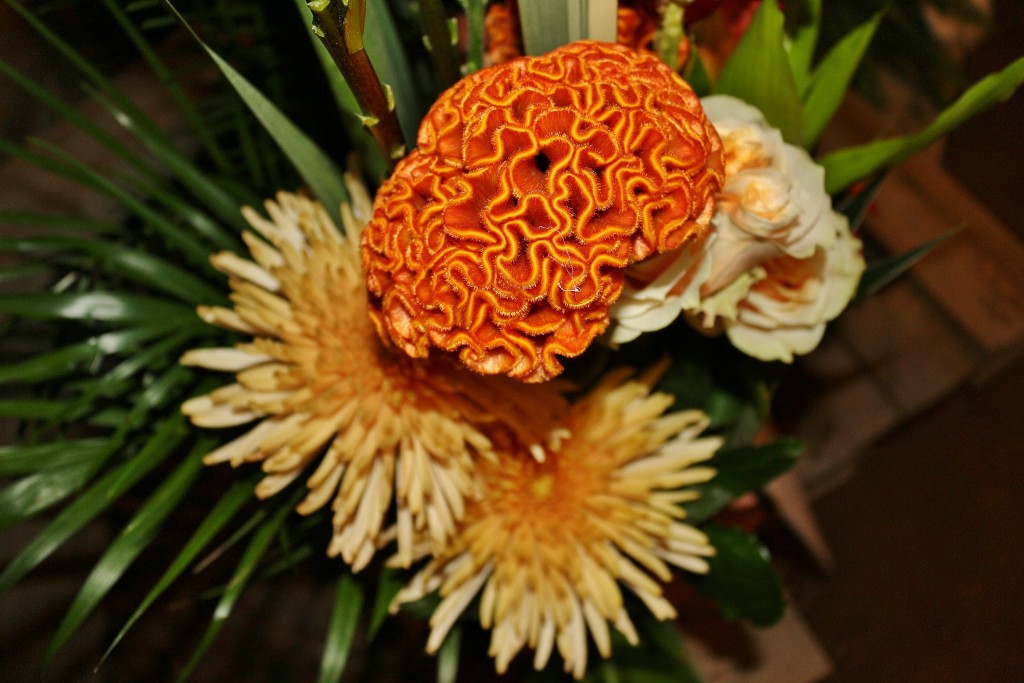 Foto: Tiempo de flores 2019 - Girona (Cataluña), España