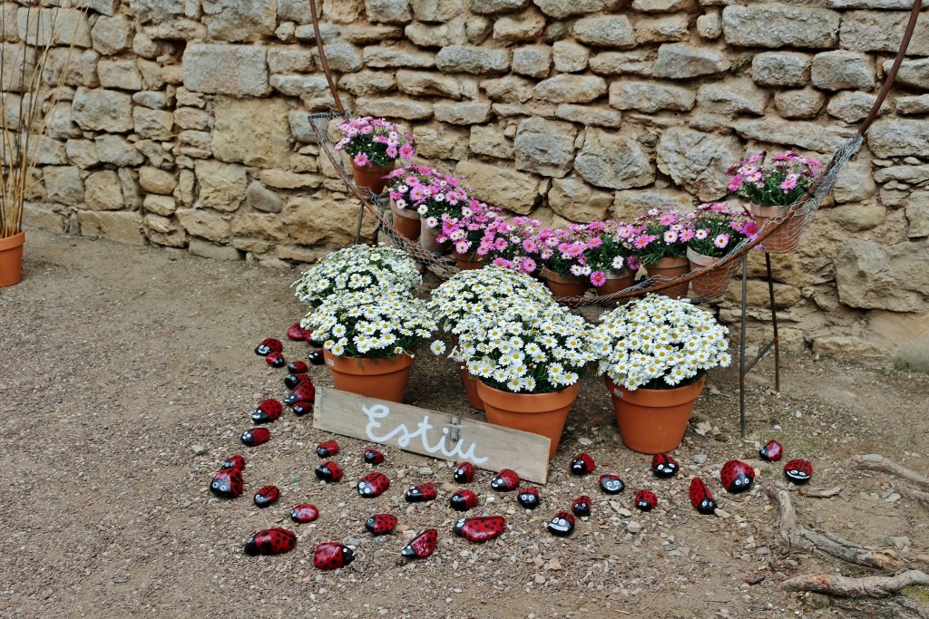 Foto: Tiempo de flores 2019 - Girona (Cataluña), España