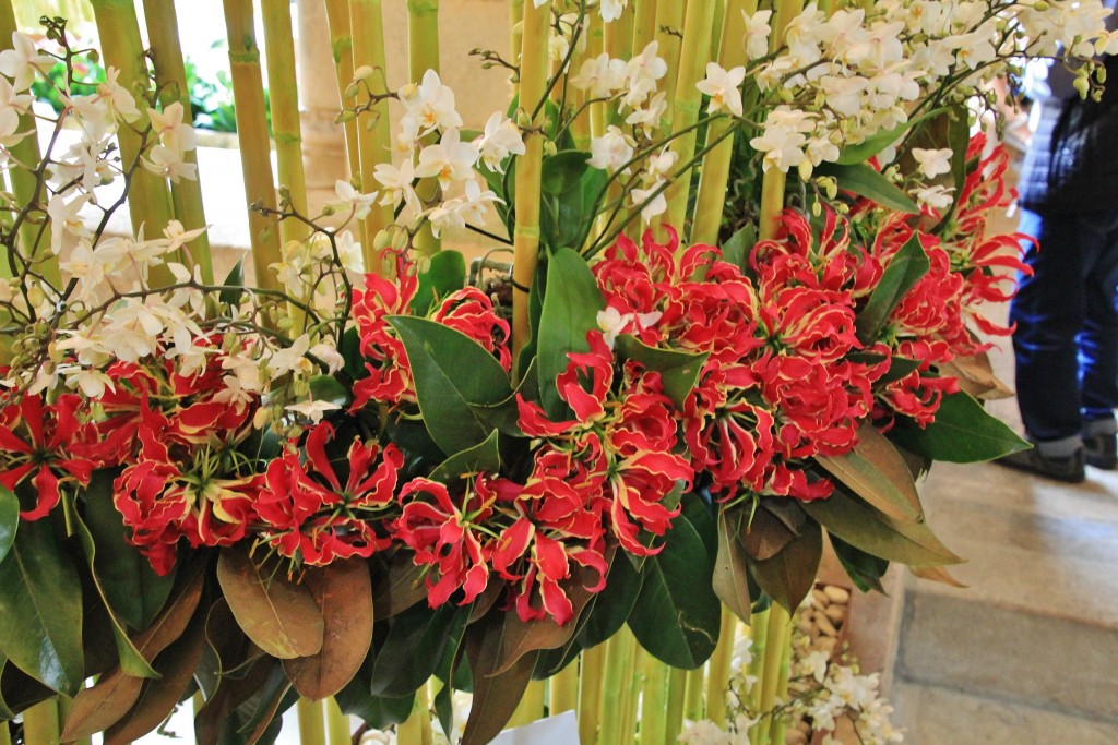 Foto: Tiempo de flores 2019 - Girona (Cataluña), España