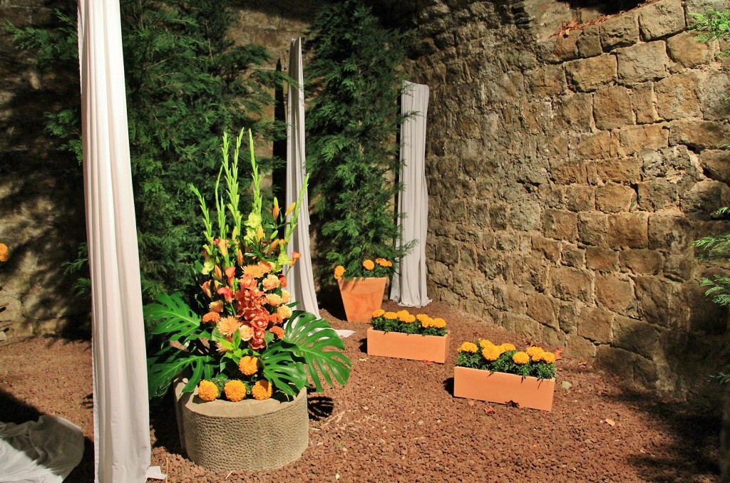 Foto: Tiempo de flores 2019 - Girona (Cataluña), España
