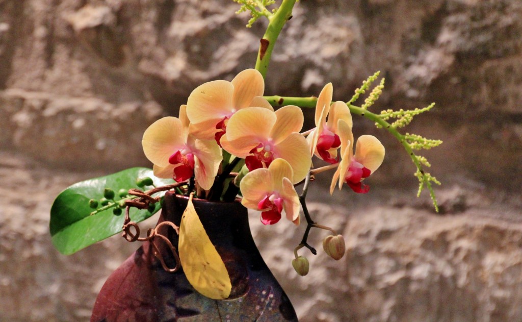 Foto: Tiempo de flores 2019 - Girona (Cataluña), España