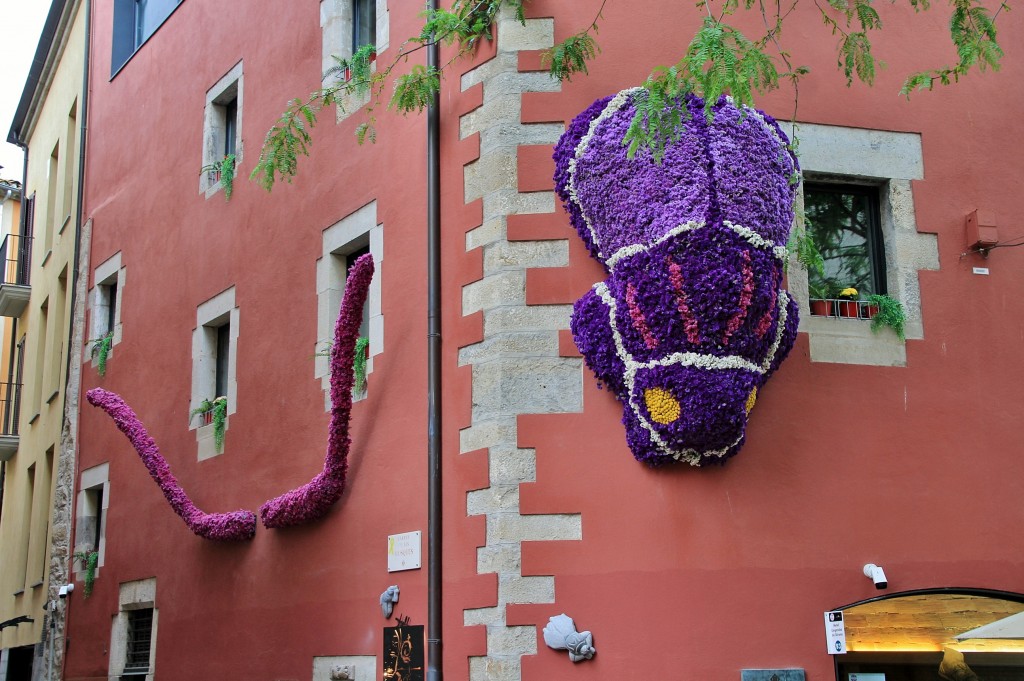 Foto: Tiempo de flores 2019 - Girona (Cataluña), España