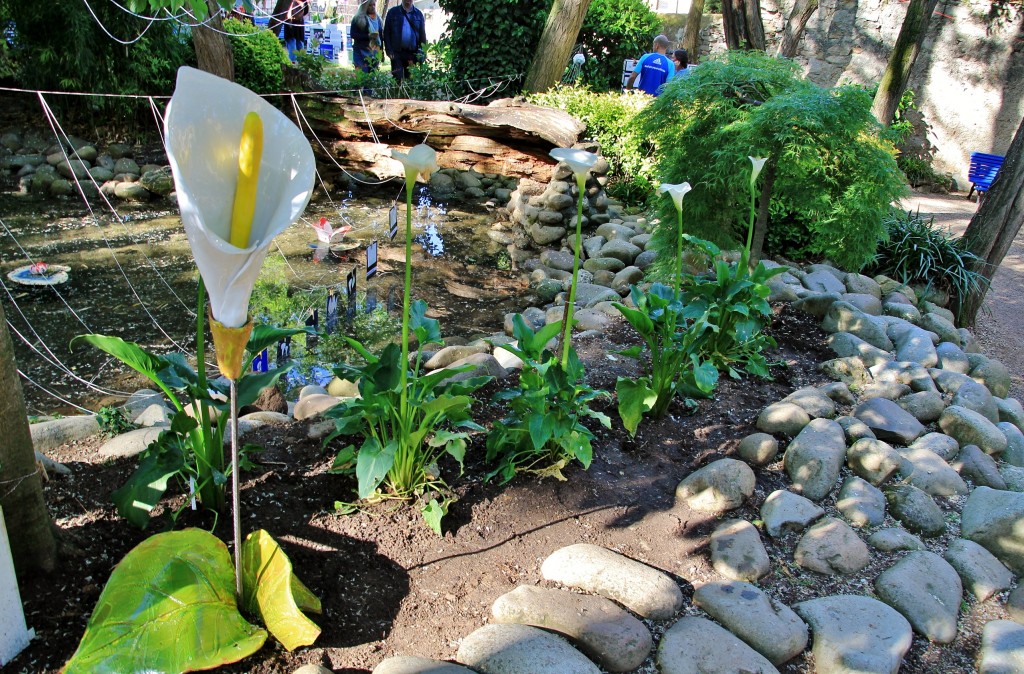Foto: Tiempo de flores 2019 - Girona (Cataluña), España
