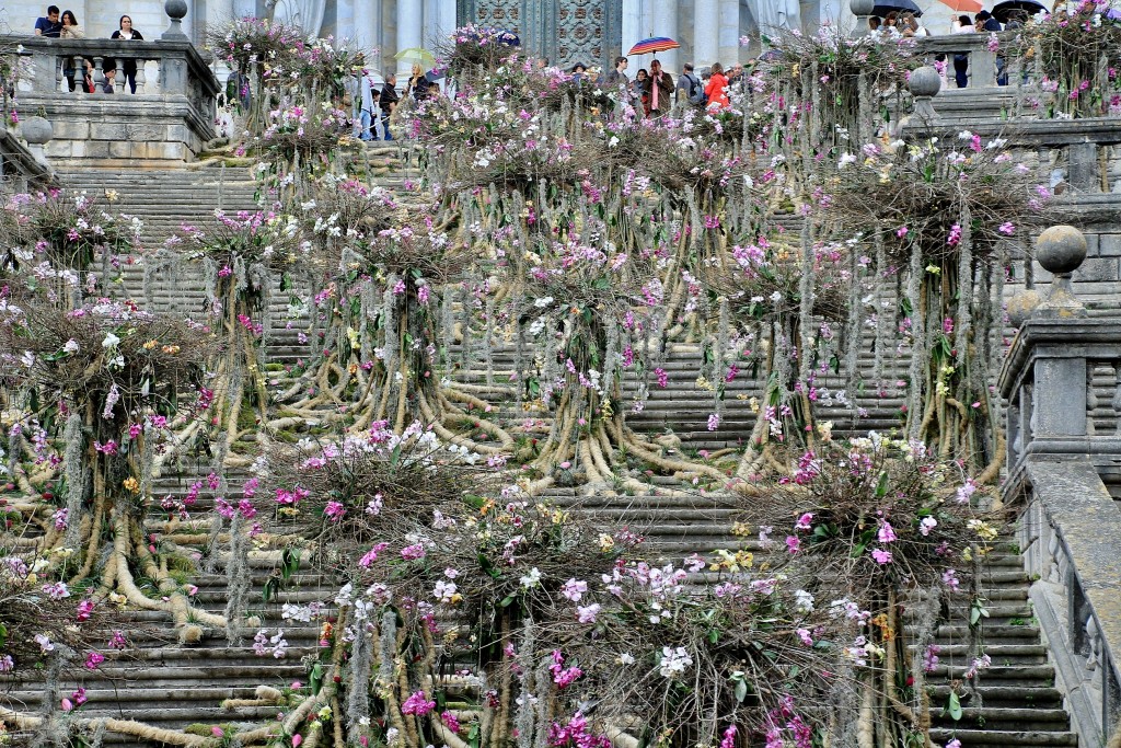 Foto: Tiempo de flores 2019 - Girona (Cataluña), España