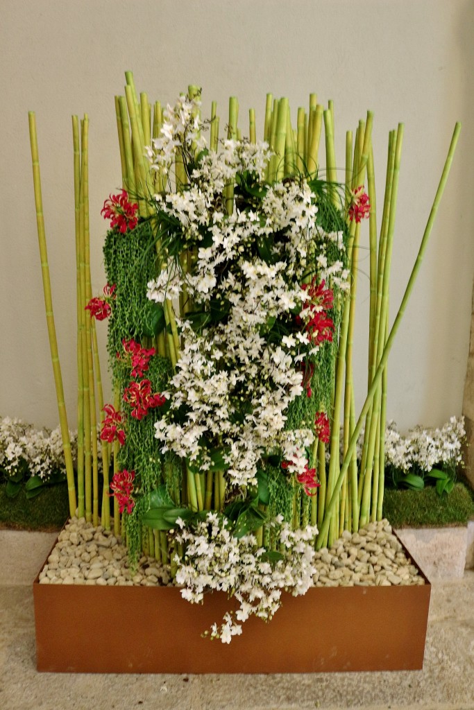 Foto: Tiempo de flores 2019 - Girona (Cataluña), España