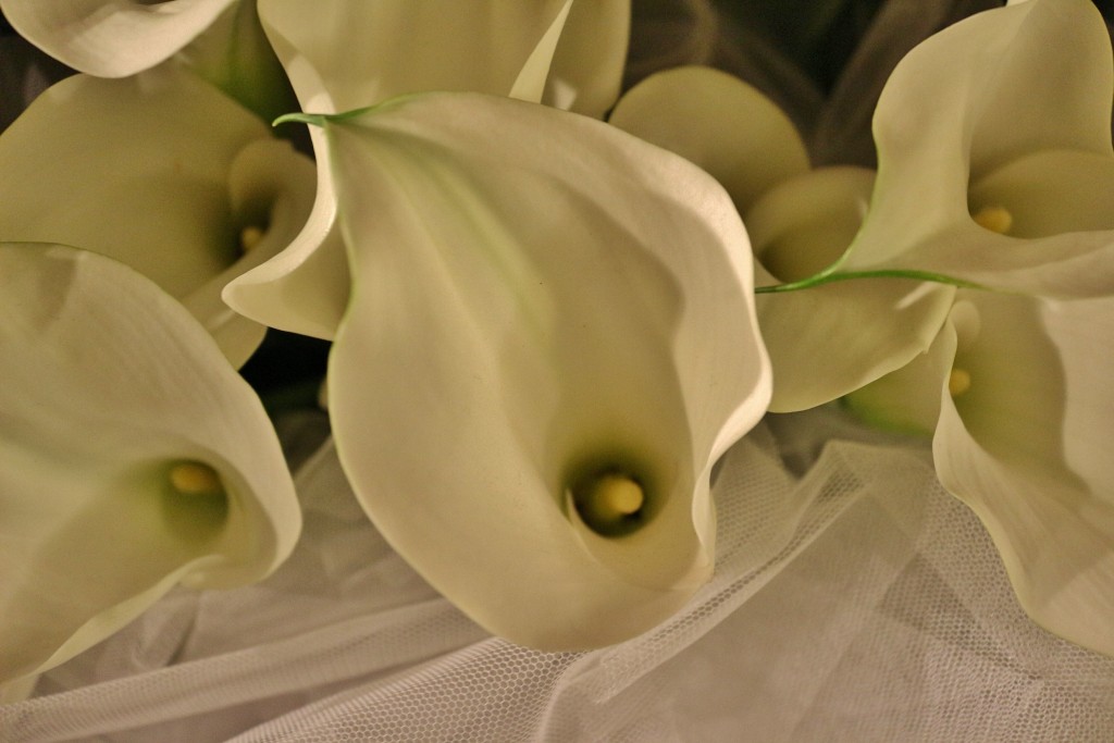 Foto: Tiempo de flores 2019 - Girona (Cataluña), España