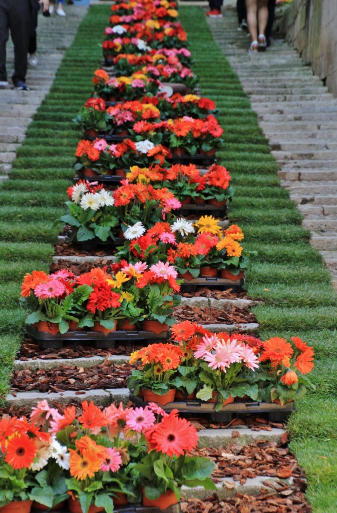 Foto: Tiempo de flores 2019 - Girona (Cataluña), España