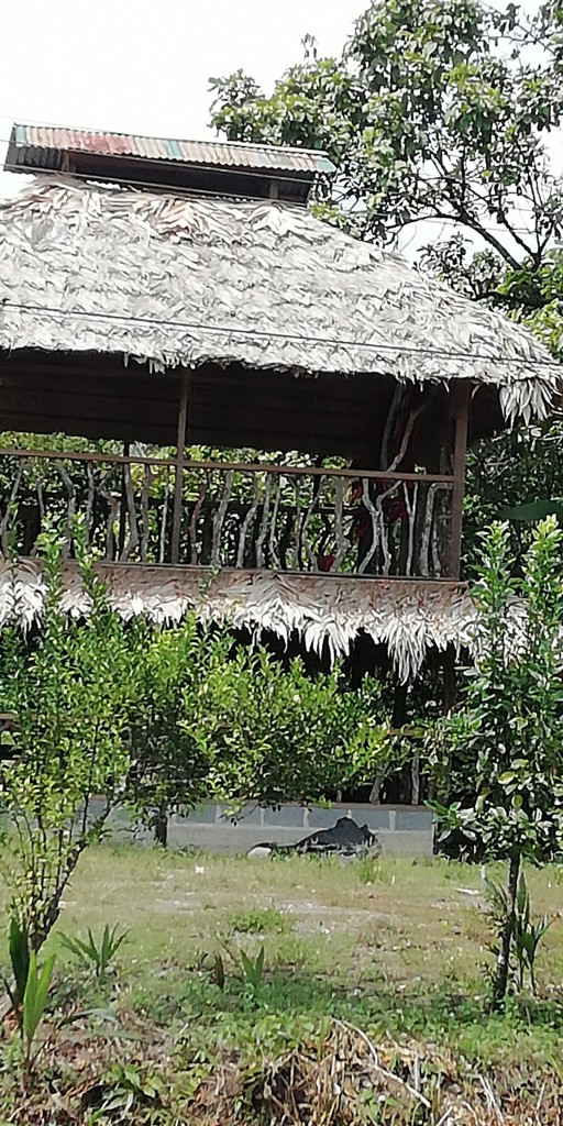 Foto: Chosa - Akberie, Bribri (Limón), Costa Rica