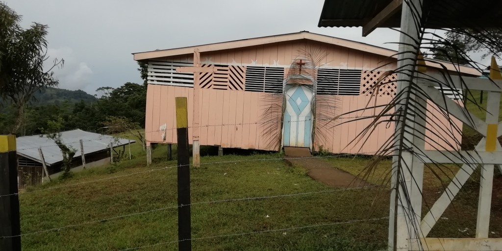 Foto de Gavilan Canta Talamanca (Limón), Costa Rica