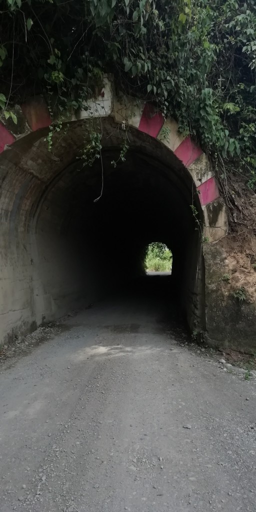 Foto: Túnel De Talamanca De 1914 - Talamanca (Limón), Costa Rica