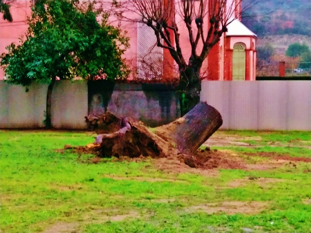 Foto: Parc Ventura Gassol - Llinars del Vallès (Barcelona), España