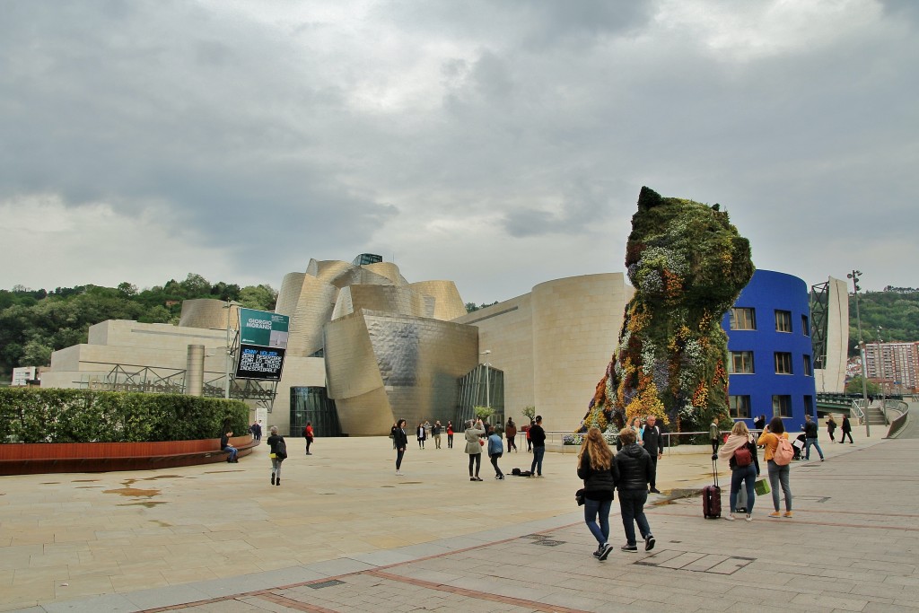 Foto: Puppy - Bilbao (Vizcaya), España