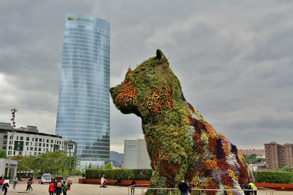 Foto: Puppy - Bilbao (Vizcaya), España