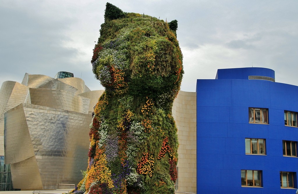 Foto: Puppy - Bilbao (Vizcaya), España