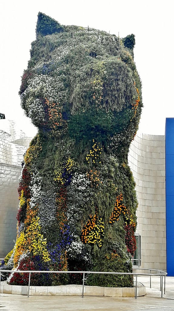 Foto: Puppy - Bilbao (Vizcaya), España