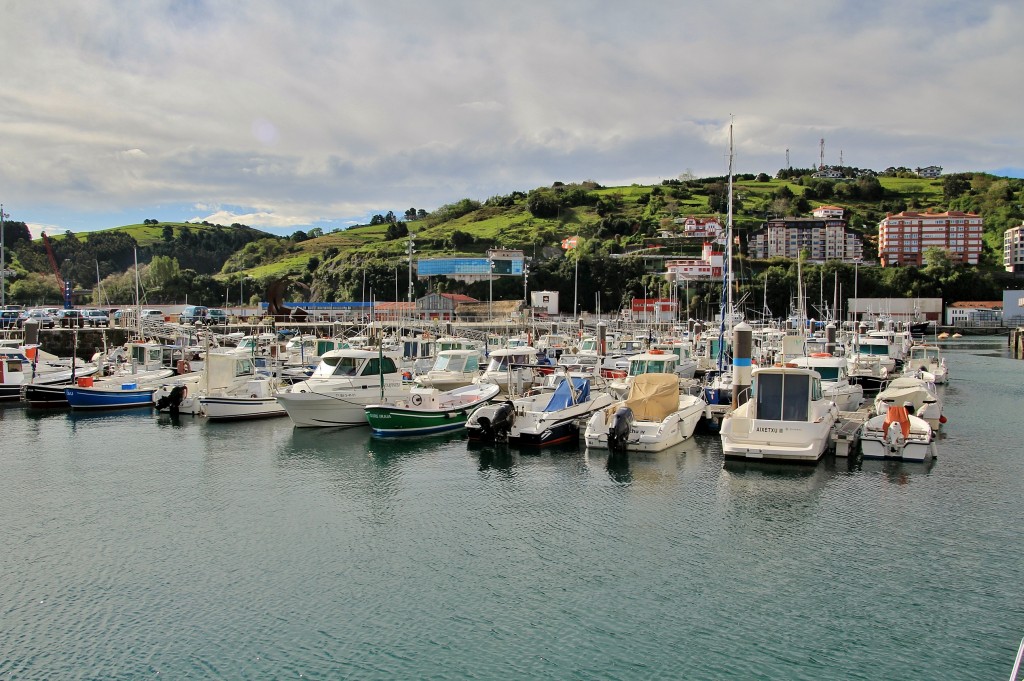 Foto: Puerto - Bermeo (Vizcaya), España