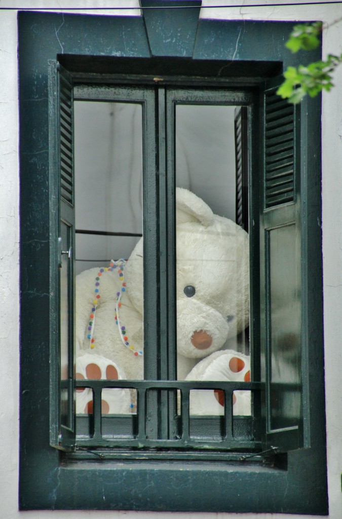 Foto: Osito - Ea (Vizcaya), España