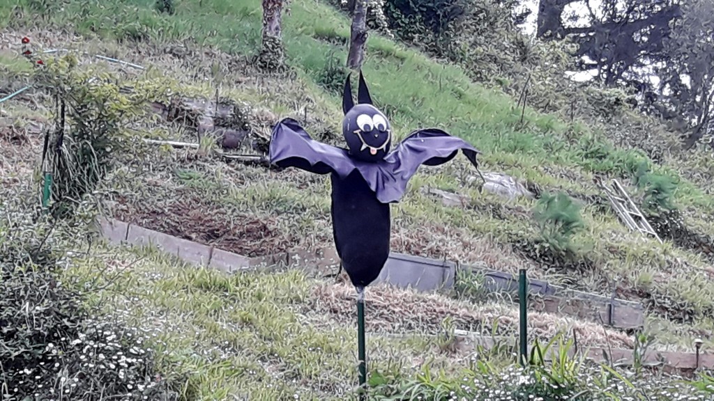 Foto: Espantapájaros - Ea (Vizcaya), España