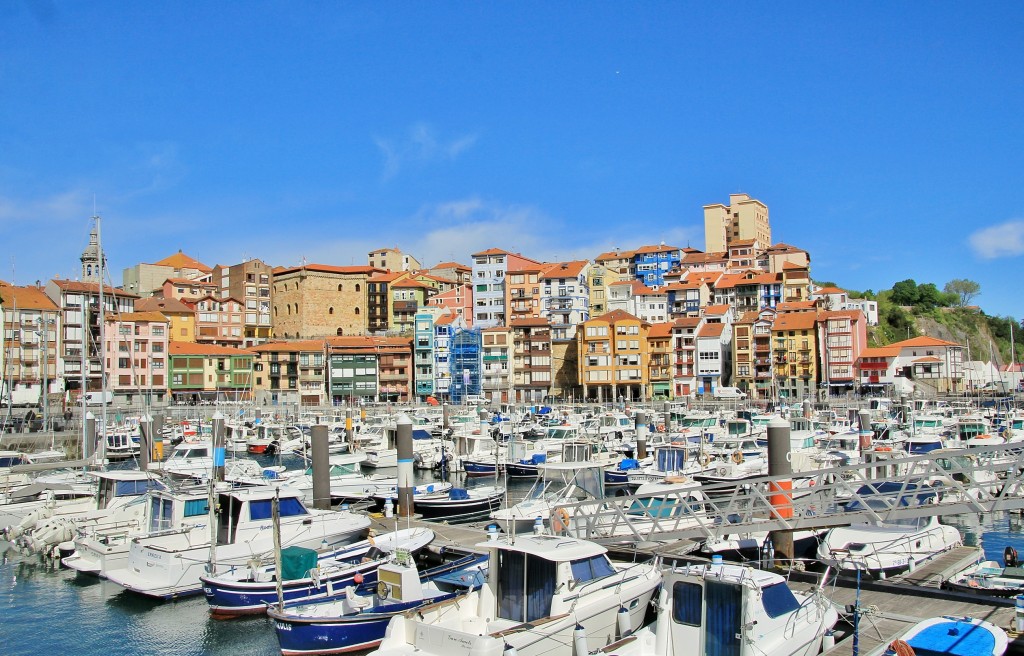 Foto: Puerto - Bermeo (Vizcaya), España