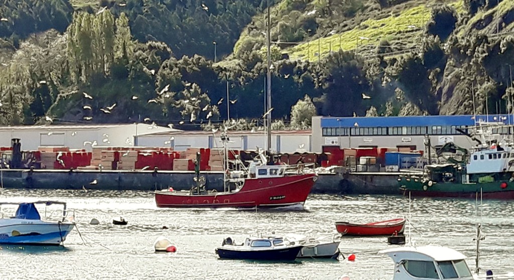 Foto: Puerto - Bermeo (Vizcaya), España