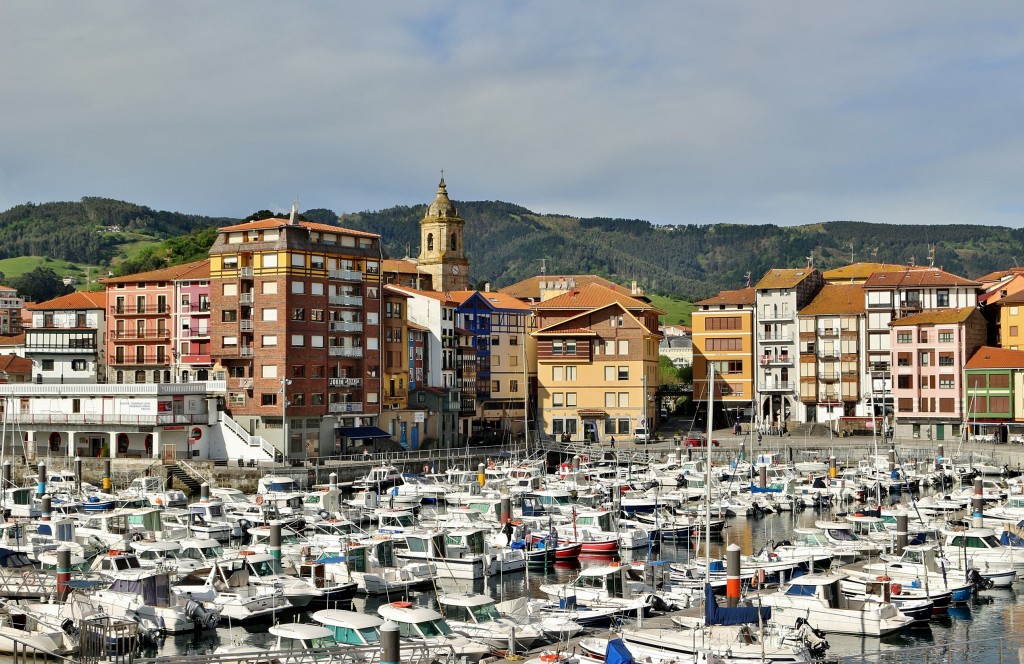 Foto: Puerto - Bermeo (Vizcaya), España