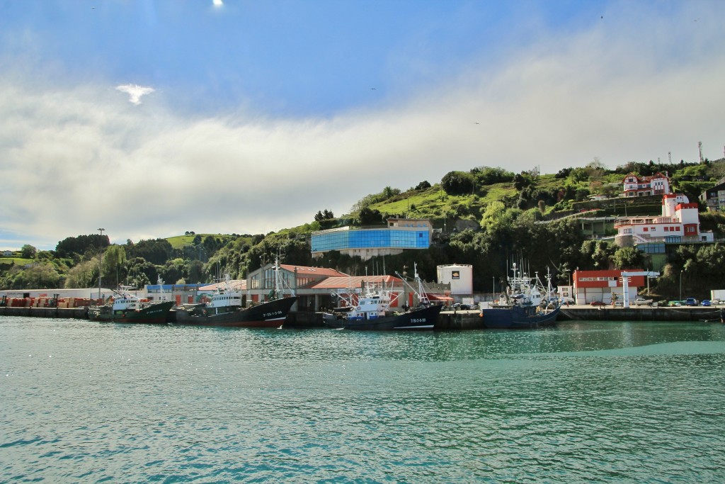 Foto: Puerto - Bermeo (Vizcaya), España