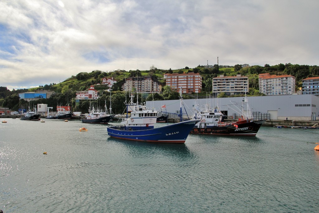Foto: Puerto - Bermeo (Vizcaya), España