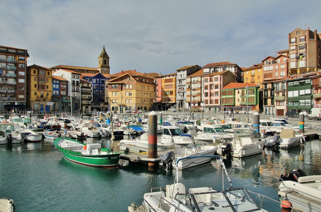Foto: Puerto - Bermeo (Vizcaya), España
